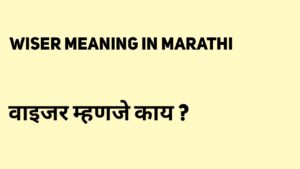 Wiser Meaning in Marathi 
